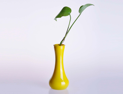 Crystal Mini Glass Vase for Decoration